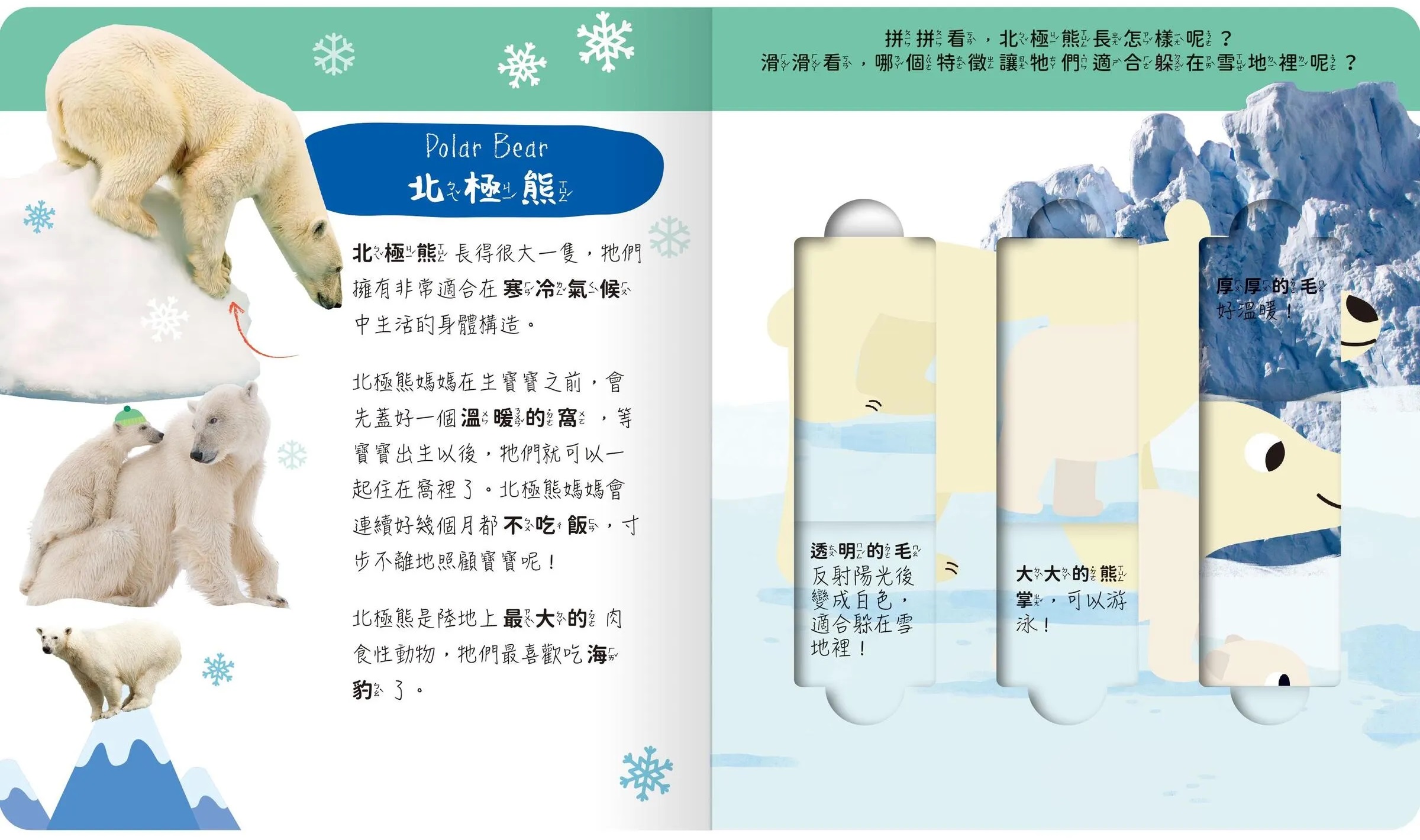 lovely puzzle-極地動物園